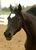 My Gallery: Image