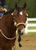 My Gallery: Image