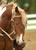 My Gallery: Image