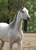 My Gallery: Image