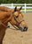 My Gallery: Image