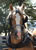 My Gallery: Image