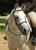 My Gallery: Image