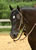 My Gallery: Image