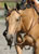 My Gallery: Image