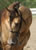 My Gallery: Image
