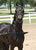 My Gallery: Image