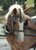 My Gallery: Image