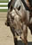 My Gallery: Image
