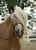 My Gallery: Image
