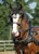 My Gallery: Image