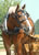 My Gallery: Image