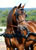 My Gallery: Image