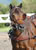 My Gallery: Image