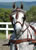 My Gallery: Image