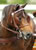 My Gallery: Image
