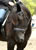 My Gallery: Image