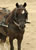 My Gallery: Image