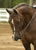 My Gallery: Image