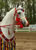 My Gallery: Image