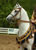 My Gallery: Image
