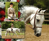 Composite 1